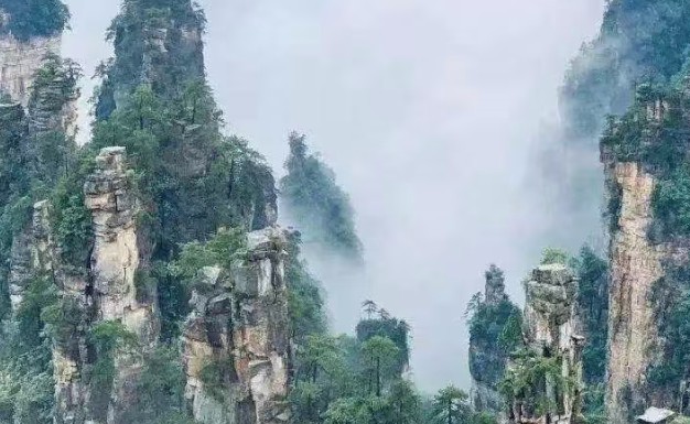 绣美湖南之以笔为针，绣出三湘新岁锦绣图--绣美湖南恭贺新元